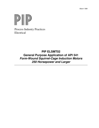 PIP ELSMT02-1999.pdf