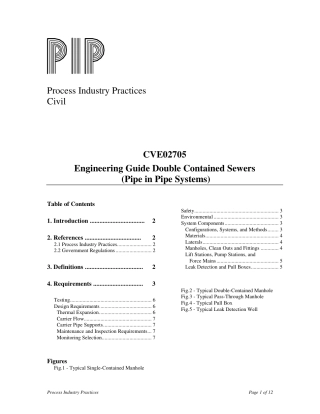 PIP CVE02705-1995.pdf