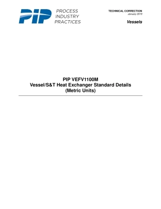 PIP VEFV1100M-2019.pdf