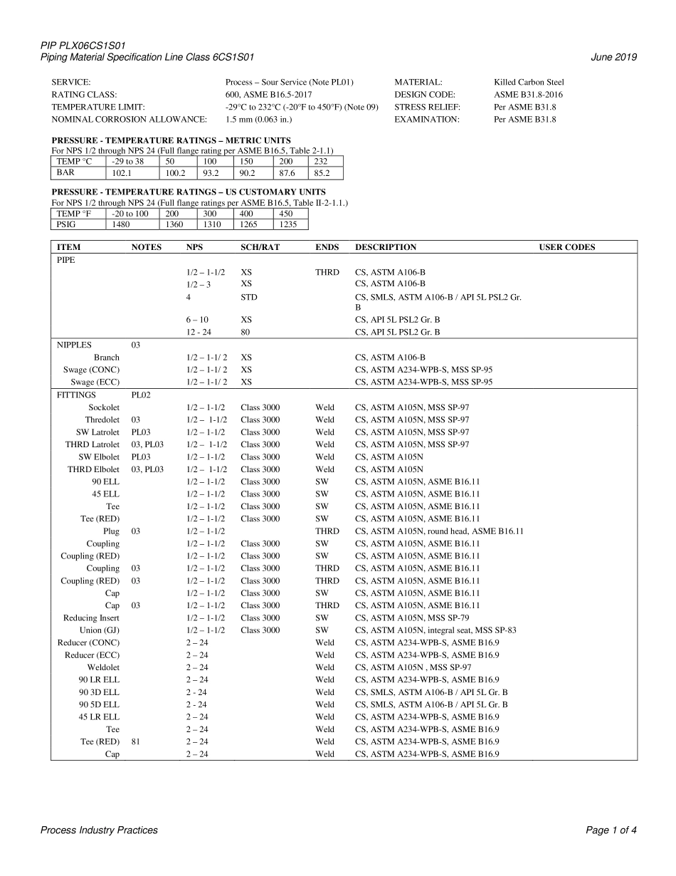 PIP PLX06CS1S01-2019.pdf_第3页