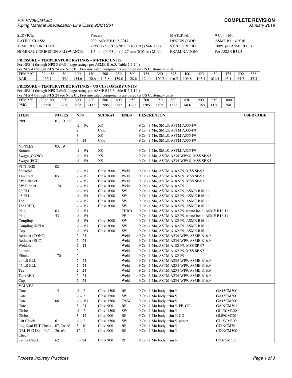 PIP PN09CM1S01-2019.pdf_第3页