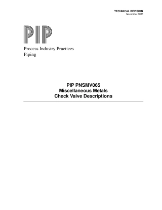 PIP PNSMV065-2005.pdf