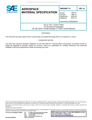 SAE AMS 3892-6B-2016.pdf