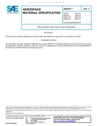 SAE AMS 3867C-2016.pdf