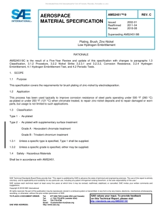 SAE AMS 2451-9C-2018.pdf