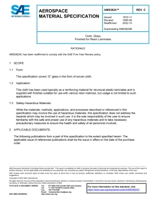 SAE AMS 3824C-2022.pdf