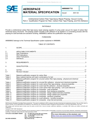 SAE AMS 6885-2-2021.pdf