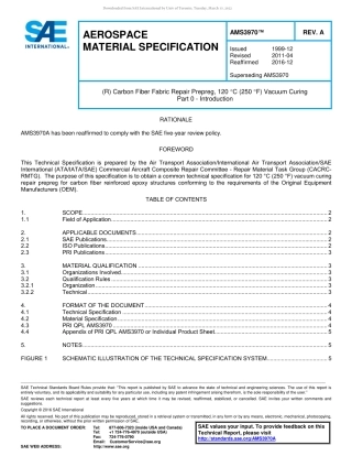 SAE AMS 3970A-2016.pdf