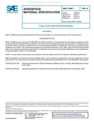 SAE AMS-T-5066B-2020.pdf