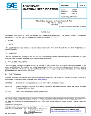 SAE AMS 5687P-2022.pdf