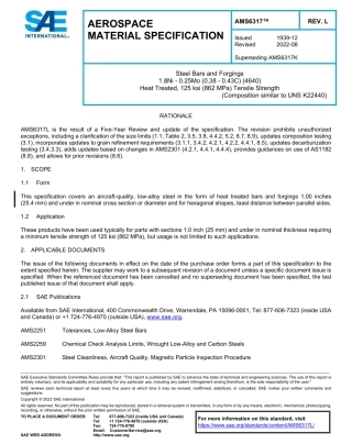 SAE AMS 6317L-2022.pdf