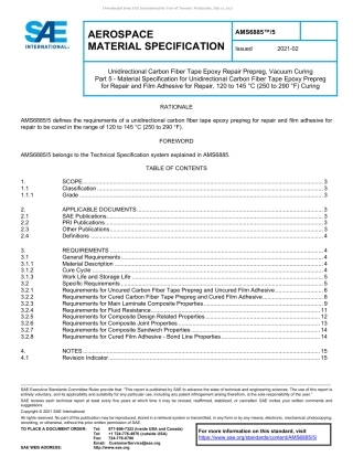 SAE AMS 6885-5-2021.pdf