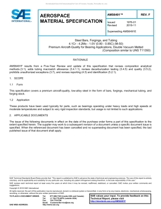 SAE AMS 6491F-2018.pdf