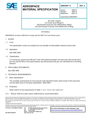SAE AMS 3909-3A-2022.pdf