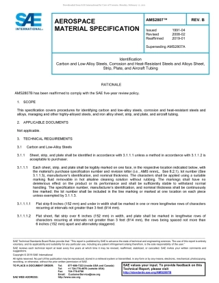 SAE AMS 2807B-2019.pdf
