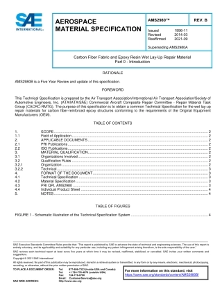 SAE AMS 2980B-2021.pdf
