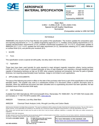 SAE AMS 6528E-2022.pdf