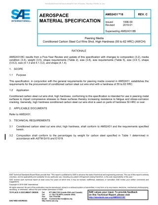 SAE AMS 2431-8C-2019.pdf