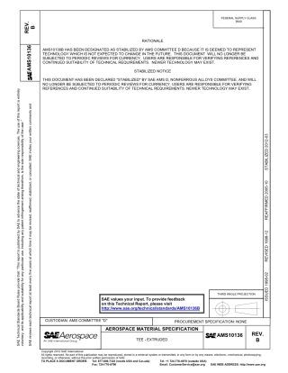 SAE AMS 10136B-2012.pdf
