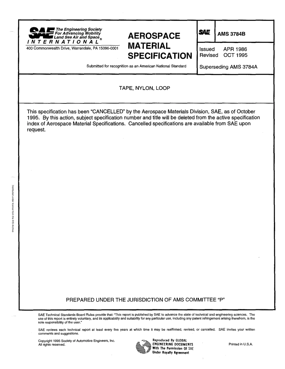 SAE AMS 3784B-1995 scan.pdf_第1页
