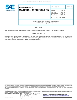SAE AMS 1383B-2020.pdf