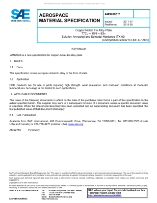 SAE AMS 4595-2018.pdf