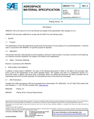SAE AMS 2451-12A-2022.pdf