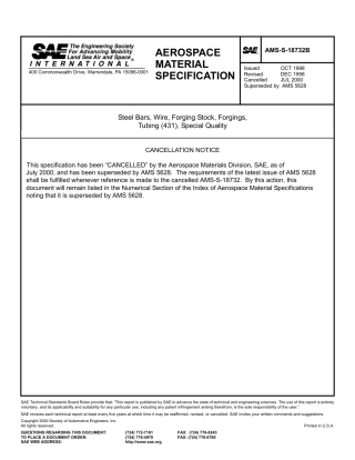 SAE AMS-S-18732B-2000.pdf