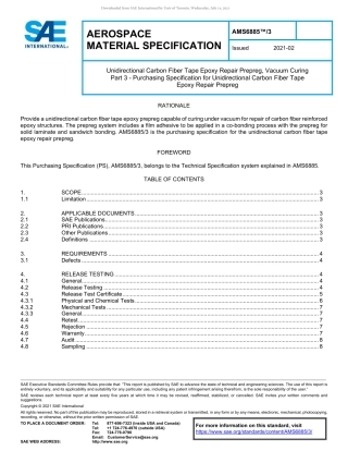 SAE AMS 6885-3-2021.pdf