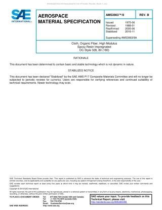 SAE AMS 3903-8B-2016.pdf