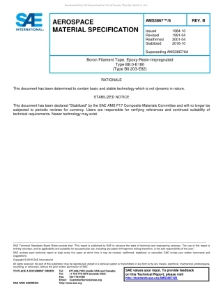 SAE AMS 3867-6B-2016.pdf