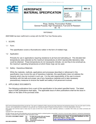 SAE AMS 7266B-2017.pdf