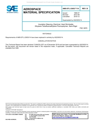 SAE AMS-DTL-23053-14B-2018.pdf