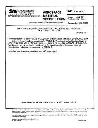 SAE AMS 5813C-1995 scan.pdf