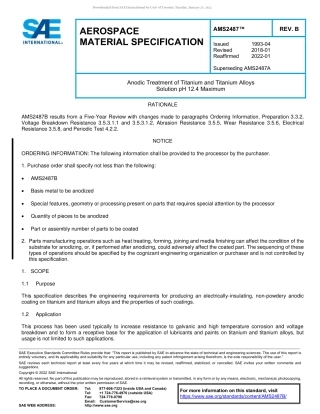 SAE AMS 2487B-2022.pdf