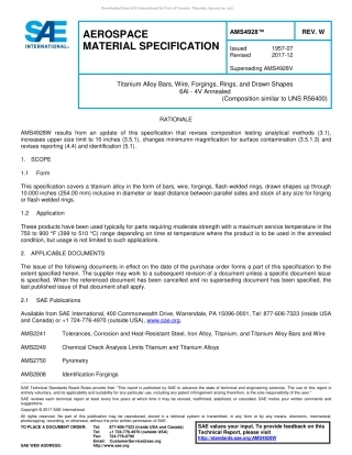 SAE AMS 4928W-2017.pdf