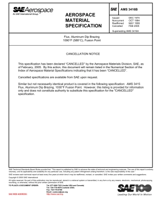 SAE AMS 3416B-2005.pdf
