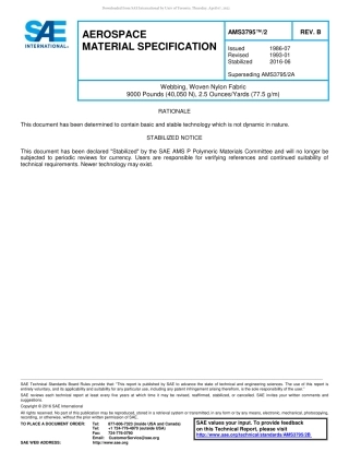 SAE AMS 3795-2B-2016.pdf