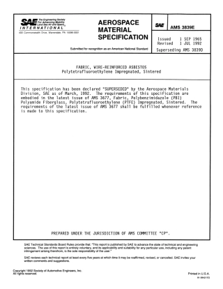 SAE AMS 3839E-1992 scan.pdf