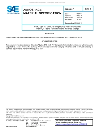 SAE AMS 3831B-2016.pdf