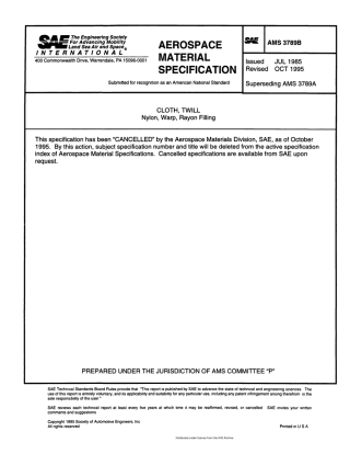 SAE AMS 3789B-1995 scan.pdf