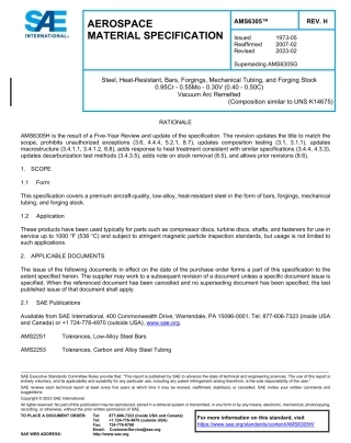 SAE AMS 6305H-2023.pdf