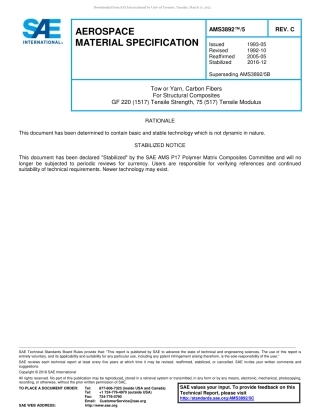 SAE AMS 3892-5C-2016.pdf