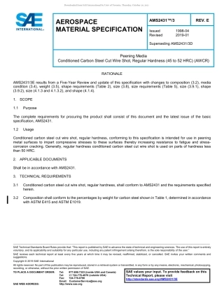 SAE AMS 2431-3E-2019.pdf