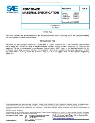 SAE AMS 2808E-2017.pdf