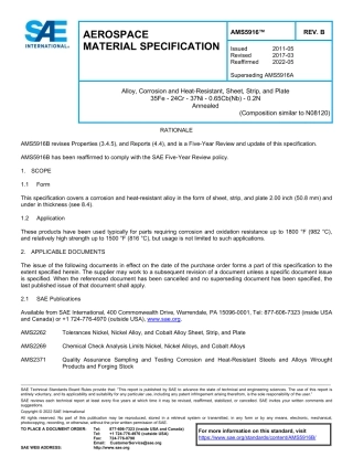 SAE AMS 5916B-2022.pdf