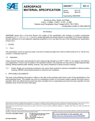 SAE AMS 4599B-2023.pdf