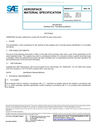 SAE AMS 2816W-2019.pdf