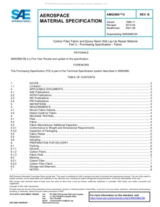 SAE AMS 2980-3B-2021.pdf