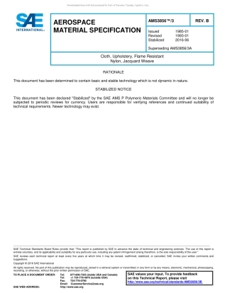 SAE AMS 3856-3B-2016.pdf